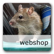 Webshop